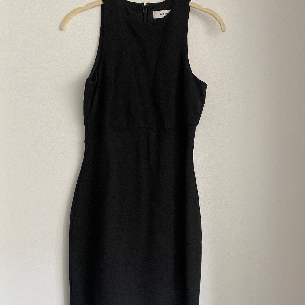 Ali & Jay black mini dress with mesh inserts